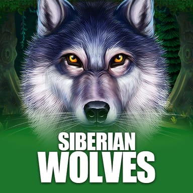 Siberian Wolves image