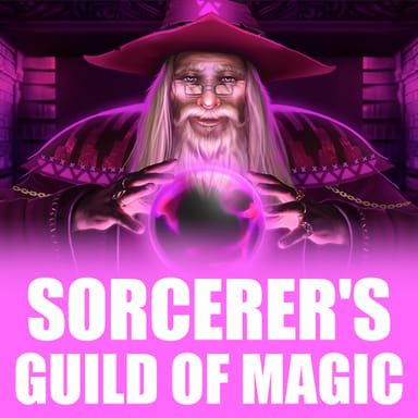 Sorcerer's Guild of Magic image