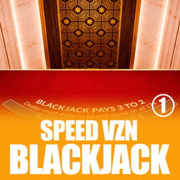 Speed Blackjack VZN 1 image