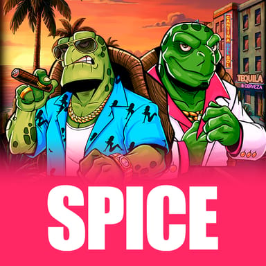 Spice image