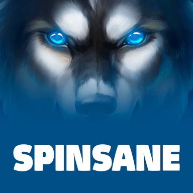 Spinsane image