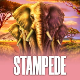 Stampede image