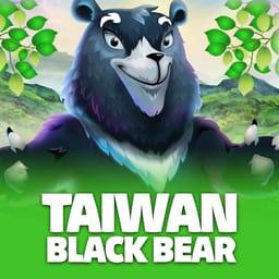 Taiwan Black Bear image