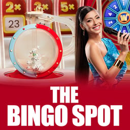 The Bingo Spot image