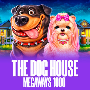 The Dog House Megaways 1000 image