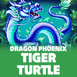 Tiger Turtle Dragon Phoenix image