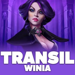 TransilWinia image
