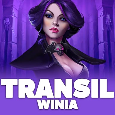 TransilWinia image