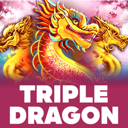 Triple Dragon image