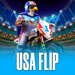USA Flip image