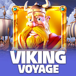 Viking Voyage image