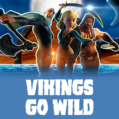 Vikings Go Wild image