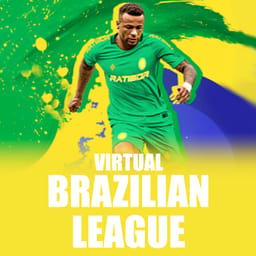 Virtual Brazilian League image