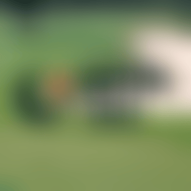 Virtual Golf image