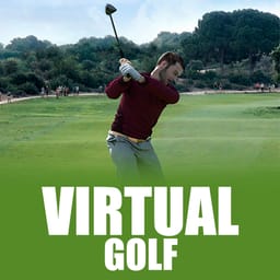 Virtual Golf image