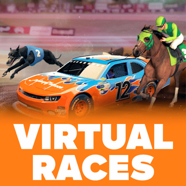 Virtual Races image