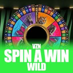 VZN Spin A Win Wild image