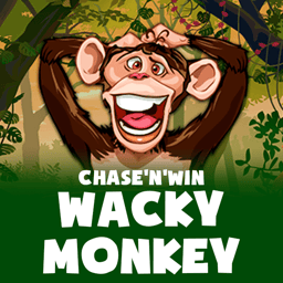 Wacky Monkey - Chase'N'Win image
