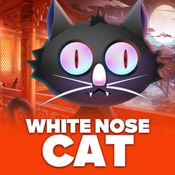White Nose Cat image