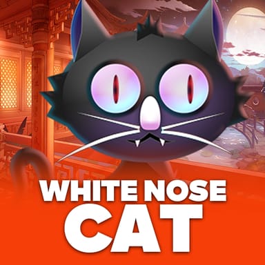 White Nose Cat image