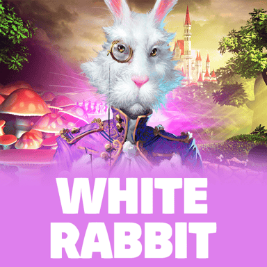 White Rabbit image