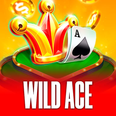 Wild Ace image