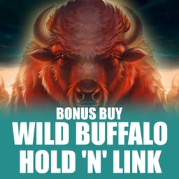 Wild Buffalo Hold 'N' Link Bonus Buy image