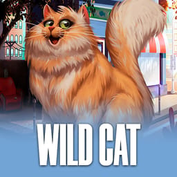 Wild Cat image
