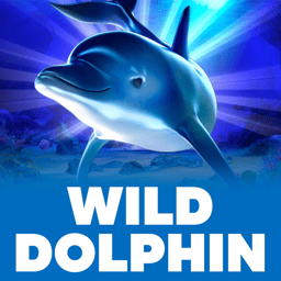 Wild Dolphin image