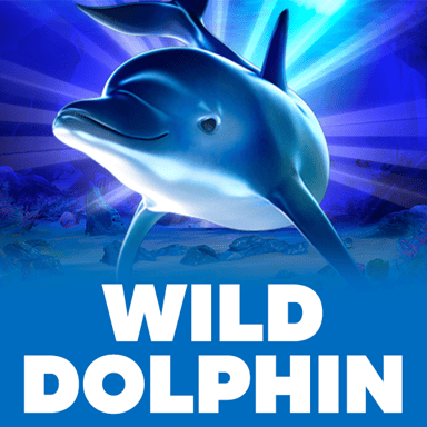 Wild Dolphin image