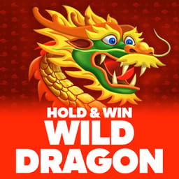 Wild Dragon Hold & Win image