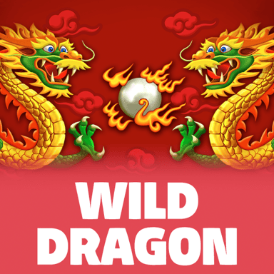 Wild Dragon image