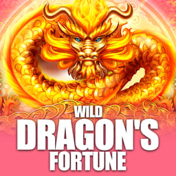 Wild Dragon's Fortune image