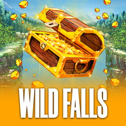 Wild Falls image