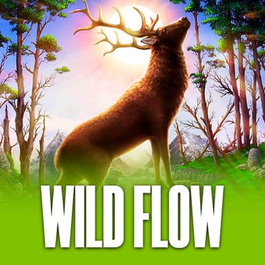 Wild Flow image