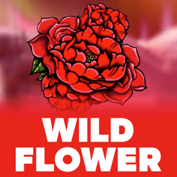 Wild Flower image