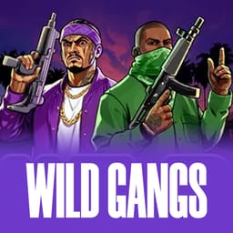 Wild Gangs image