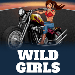 Wild Girls image