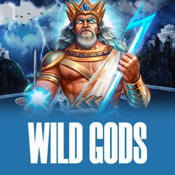 Wild Gods image