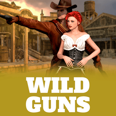 Wild Guns image