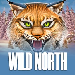 Wild North image