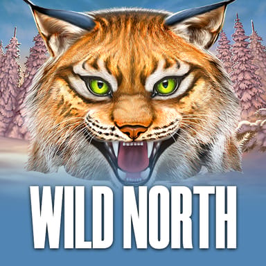 Wild North image