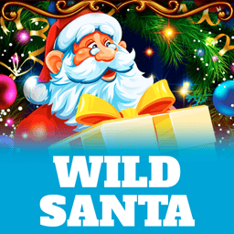 Wild Santa image