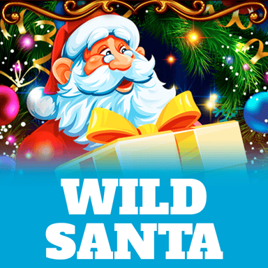 Wild Santa image
