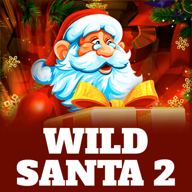 Wild Santa 2 image
