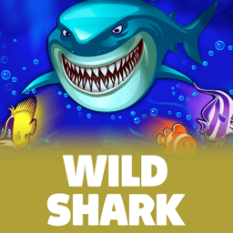 Wild Shark image