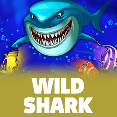 Wild Shark image