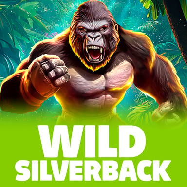 Wild Silverback image