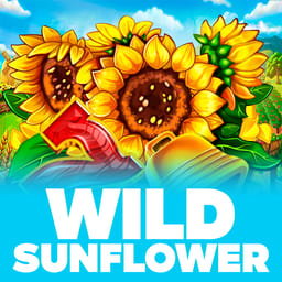 Wild Sunflower image
