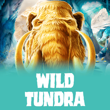 Wild Tundra image